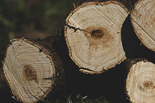 euless-tree-service-cut-log
